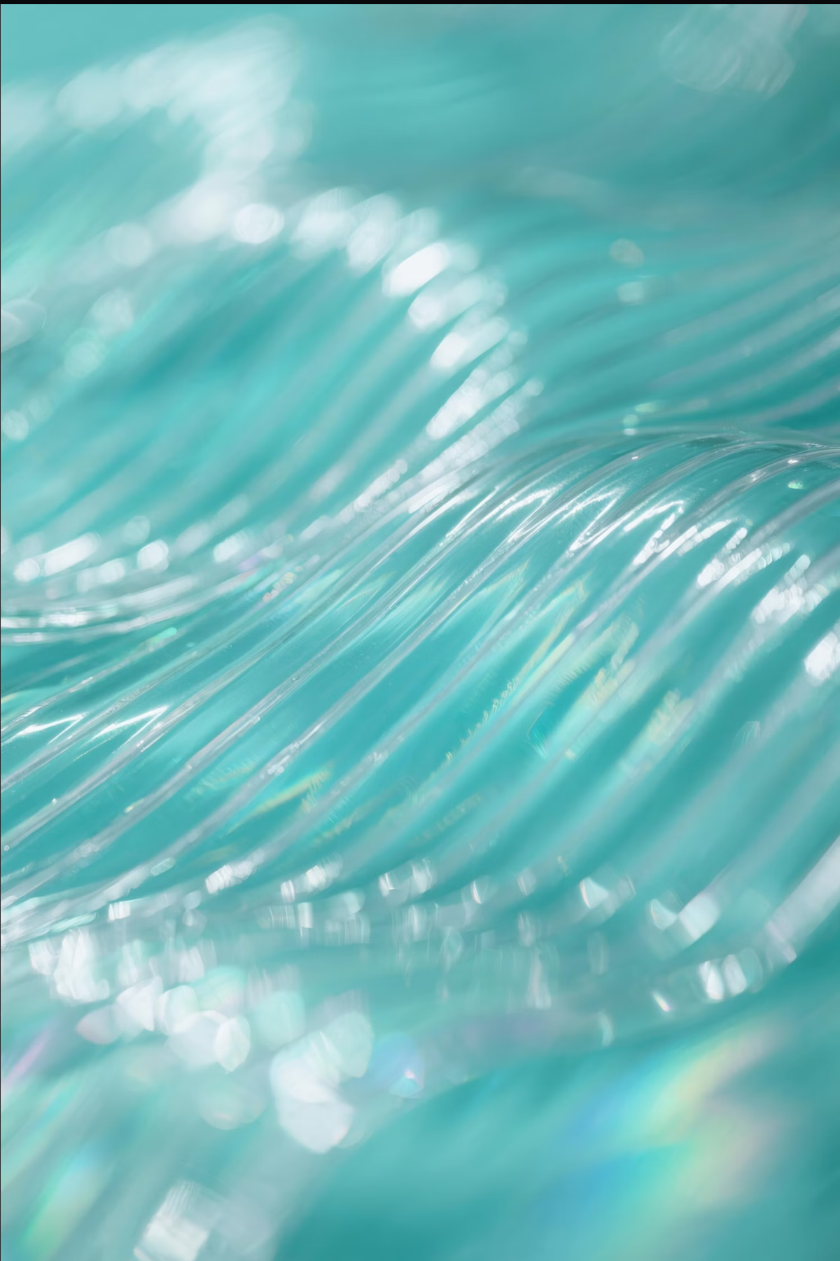 Cantine - Produttori